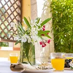 Con Idromassaggio E Patio By Propertize Chalet *